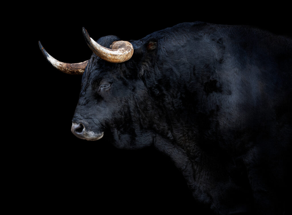 Welcome to the Taurus season and take care of these most toxic traits of the bad oxen