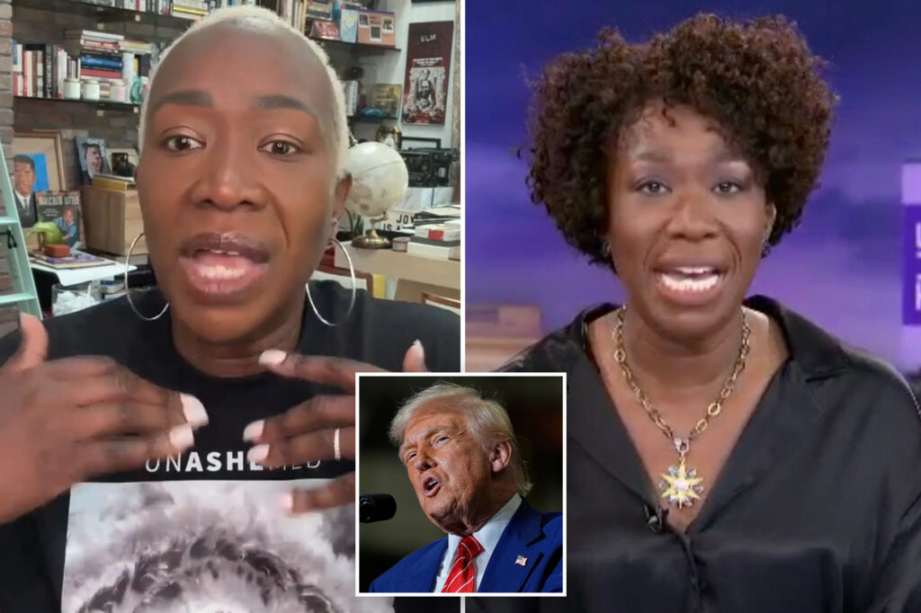 Joy Reid fleet speculation that his race, "anxiety" surrounding Trump played a role in the shot of MSNBC